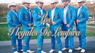 ILEGALES DE LEMPIRA  TEQUILA Y BUCANA Video Oficial 2017 [upl. by Solon952]