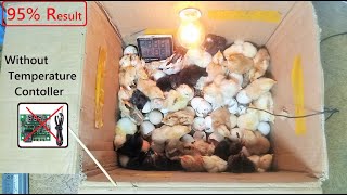 Best and Easy IDEA TO Hatch chicken eggs at home Without Any Temperature controller  Egg Incubator [upl. by Norry]