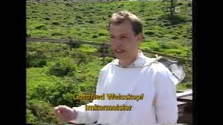 Gottfried Weiskopf Bienen Sommer 1992 [upl. by Adlog39]