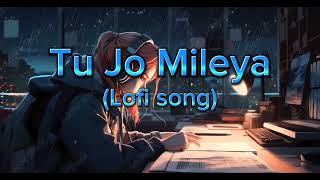 Tu jo MileyaSlowed Reverb songs tujomileya lofisong lofimusics [upl. by Beata480]