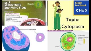 Cytoplasm l Cytosol l Cell structure and function l XI biology [upl. by Sirrah]