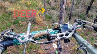 DEER HUNTING Florida Bow Season Public Land [upl. by Eneri]