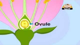 Learn about Plants in Hindi  Life Cycle [upl. by Pitts487]