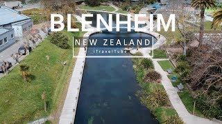 Blenheim City Marlborough Region New Zealand  Drone Footage [upl. by Anaihsat302]