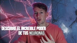 Que son las NEURONAS y Cual es SU FUNCION SINAPSIS QUIMICA y ELECTRICA [upl. by Eirellam182]