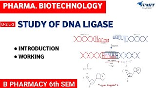 Study of DNA Ligase  Unit2 Pharmaceutical Biotechnology [upl. by Caia885]