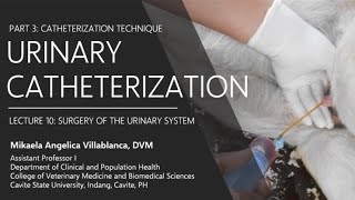 Lecture 104 Urinary Catheterization Technique [upl. by Douty]