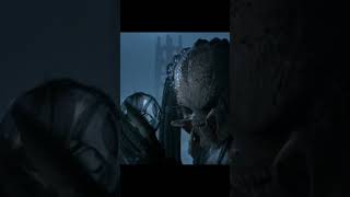 Predator Devourers Dreams Of Sizzling Xenomorph Stew And Vegetables edit avp shorts [upl. by Adrianna]