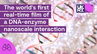 The worlds first realtime film of a DNAenzyme nanoscale interaction  Attacking a virus [upl. by Aikyn]