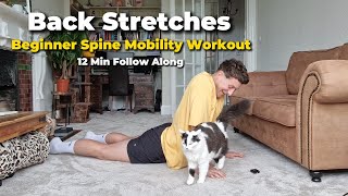 Beginner Back Stretches  Spine Mobility Workout  12 Minute Follow Along  No Equipment Needed [upl. by Akehsat]