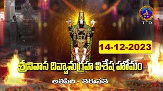 Srinivasa Divyaanugraha Visesha Homam  Alipiri  Tirupati  14122023  SVBC TTD [upl. by Orsino]