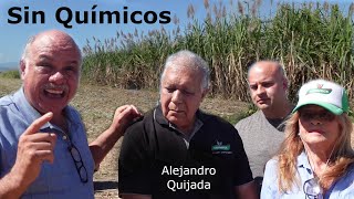 Como se producen mas de 400 Has sin usar químicos ni fertilizantes Solo con humus de lombriz [upl. by Wei354]