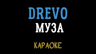 DREVO  МУЗА мінусовка караоке мінус інструментал [upl. by Elylrac]