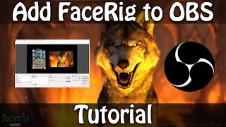 Setup FaceRig in OBS Recording with Green Screen  Tutorial for Beginners [upl. by Janelle]