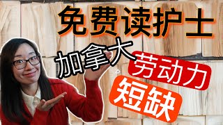 安省免费读护士急救实验室专业加拿大频发新政改善劳动力短缺安省学院地域分布图理解“偏远校区” [upl. by Yc]