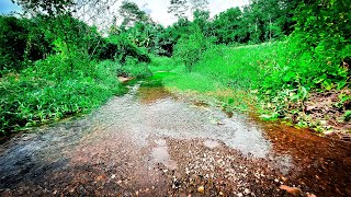 Cheerful Trickling Water 10 Hours Cozy Stream River Sound [upl. by Cimbura]