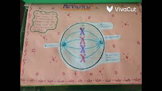 Productos  Biología 2° trim secundaria 2024 [upl. by Gavin]