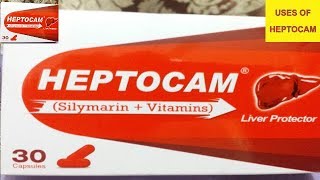 HEPTOCAM SilymarinVitaminCap For  Liver TonicFatty Liver Chronic Hepatitis amp Cirrhosis Liver [upl. by Nytsyrk909]