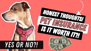 Do You NEED Pet Insurance [upl. by Nika367]