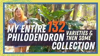 PLANT CHIKA  Updating My Philodendron Collection Count  From 102 in 2021 to 132 in 2022 [upl. by Greysun842]