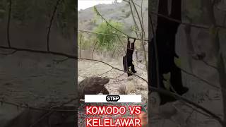 Komodo vs kelelawar animals komodo biawak kelelawar reptiles videoshort shorts [upl. by Angelina]