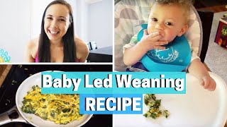 BABY LED WEANING RECIPES  Healthy Organic KOSHER Egg Recipe [upl. by Napoleon633]