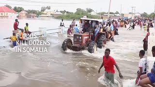 Floods kill dozens in Somalia [upl. by Anytsirk]