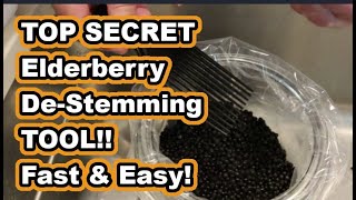 Easiest Best Fastest way to destem Elderberries remove the stems tricks amp hacks elderberry [upl. by Kain633]