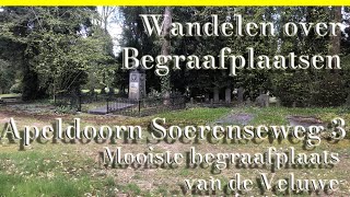 Apeldoorn Soerenseweg 3 de mooiste van de Veluwe [upl. by Ailla14]