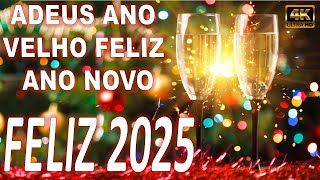 Adeus ano velho feliz ano novo 2024 felizanonovo2024 adeusanovelho marcasdoquesefoi [upl. by Berriman42]