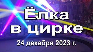 Ёлка в цирке 2023 [upl. by Yevi]