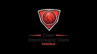 Copa Claro de Voleibol 2019  Domingo 01122019 [upl. by Bridge]