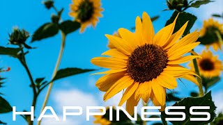 Rediscover Happiness  Powerful Subliminal to Overcome Depression [upl. by Feenah]