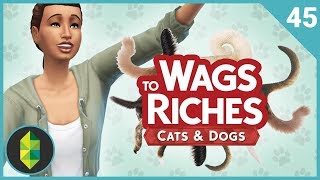 Wags to Riches  Part 45 Sims 4 Cats amp Dogs [upl. by Ahsenar431]