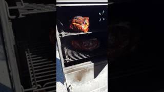 Brinkmann Smoker Update [upl. by Zampino]