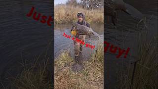 A little beaver trapping action today beaver trapping [upl. by Munro]