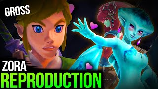 How EXACTLY did the Zora quotEvolvequot into the Rito  Zelda Tears Of The Kingdom Theory Compilation [upl. by Dlonyar948]