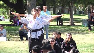 Hapkido  Tae Kwon Do Myung Kim Black Belt Demo and Picnic 2017 [upl. by Epilihp]