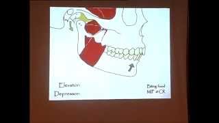 Muscle Hyperfunction when MIP and CR do not Coincide Part 1 [upl. by Bancroft22]