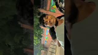 Short mini vlog rubber dam in gaya bihar [upl. by Kcitrap]