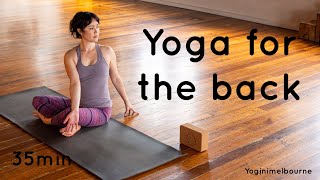 Yoga for the back ❤️  release amp strengthen  35min [upl. by Biddy]