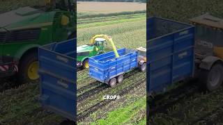 Forage harvester agriculturalmachinery machine [upl. by Kassel519]