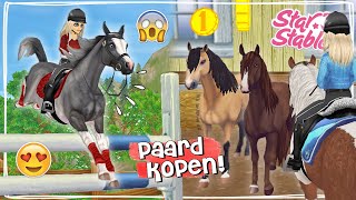 NIEUW ZELDZAAM PAARD KOPEN  NIEUWE RACE TESTEN 😱  Update  Star Stable  Daphne draaft door [upl. by Malvia48]