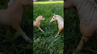 Schleich [upl. by Narad]