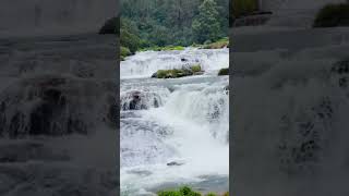 📍 Pykara Waterfalls Ooty pykarawaterfalls pykara ooty ootydiaries nilgiris ootytrip shorts [upl. by Remington]