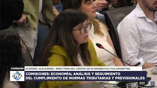 Disertación de Alejandra Scarano CEPA en Diputados Perspectivas Económicas y Tributarias [upl. by Nahsaj]