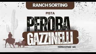 PISTA PEROBA GAZZINELLI  RANCH SORTING AO VIVO  GRANDE FINAL  AO VIVO [upl. by Ialohcin655]