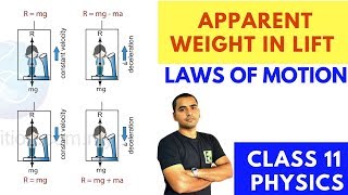 APPARENT WEIGHT IN LIFT ELEVATOR  CLASS 11 PHYSICS  LAWS OF MOTION [upl. by Giefer]