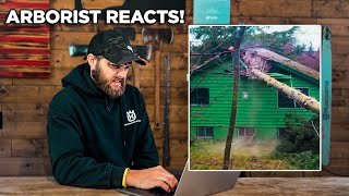 Professional Arborist Reacts to TREE CUTTING FAILS [upl. by Tereb725]