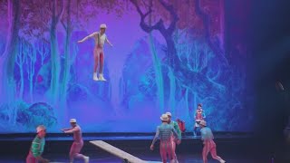 New Cirque du Soleil show at Disney Springs debuts Drawn to Life [upl. by Nahtnamas]